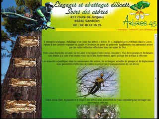 Arbres45 : Elagage, abattage et soins des arbres