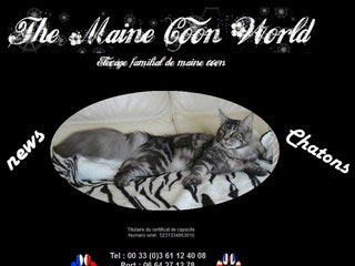 The maine coon world, chatterie familial	