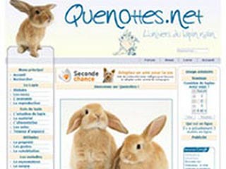 Quenottes.net : L'univers du lapin nain