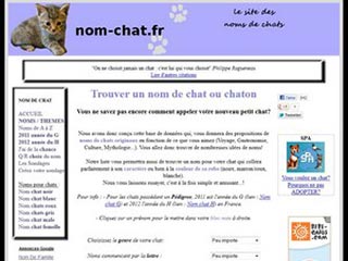 Des idées en folie de prénom pour chaton ou chat