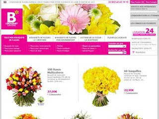 Bouquet Nantais : Livraison de bouquets de fleurs et cadeaux