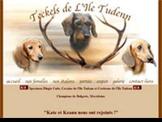 Teckels de l'Ile Tudenn