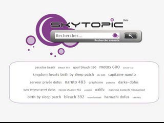 Skytopic, moteur de recherche des forums