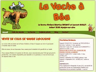 Viande Limousine, colis viande de boeuf en vente directe