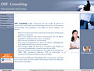 DSF Consulting, spécialiste du dépannage informatique