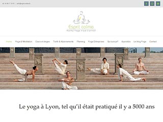 Hatha Yoga Lyon Confluence