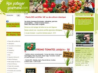 Mon-potager-gourmand, vente en ligne de plants potagers