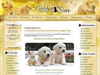 Golden Retrievers of Sim : Elevage et vente de chiots