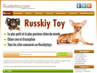 Russkiy toy, petit chien russe tres sympa et de peteit taille