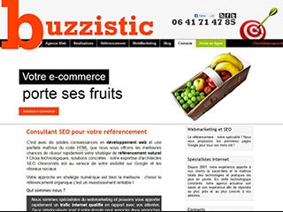 Référencement payant par l'agence Buzzistic