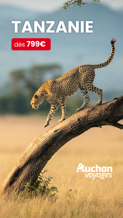 Auchan Voyages Tanzanie