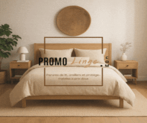 Maison (Intérieur) - Promolinge 300x250