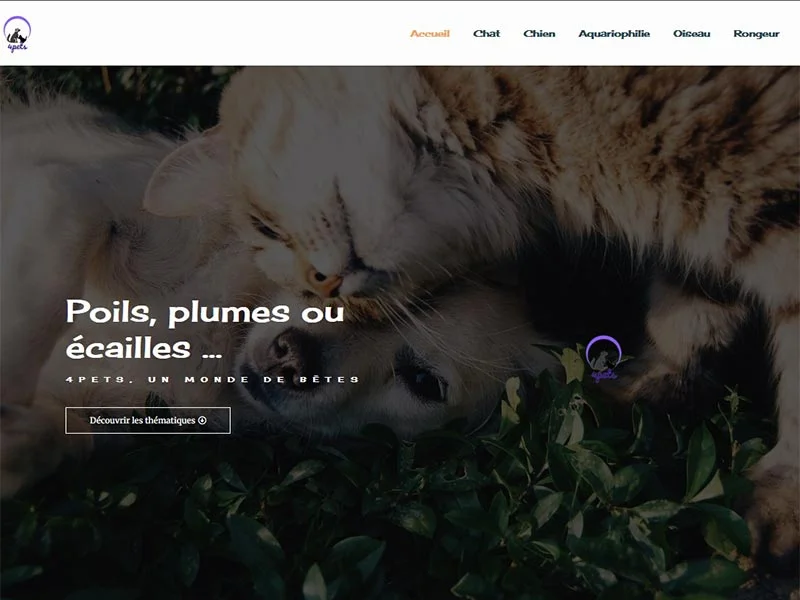4 Pets Tendance, le magazine des animaux de compagnie