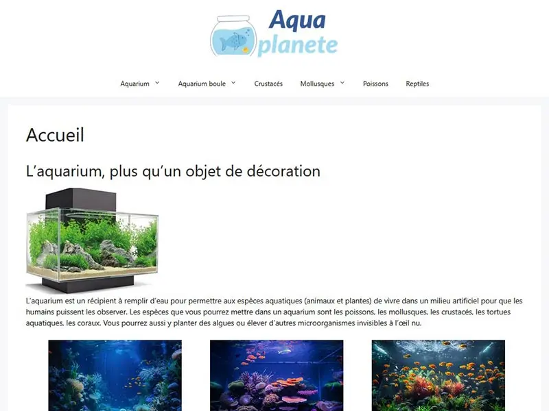 Aqua planète, aquariophilie eau de mer et eau douce
