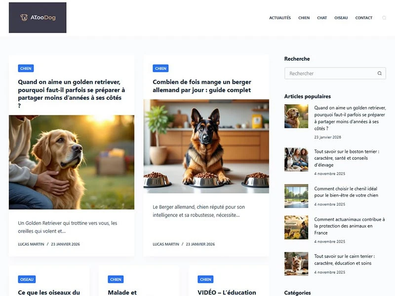 ATooDog - Conseils pratiques et guides pour le bien-être des chiens