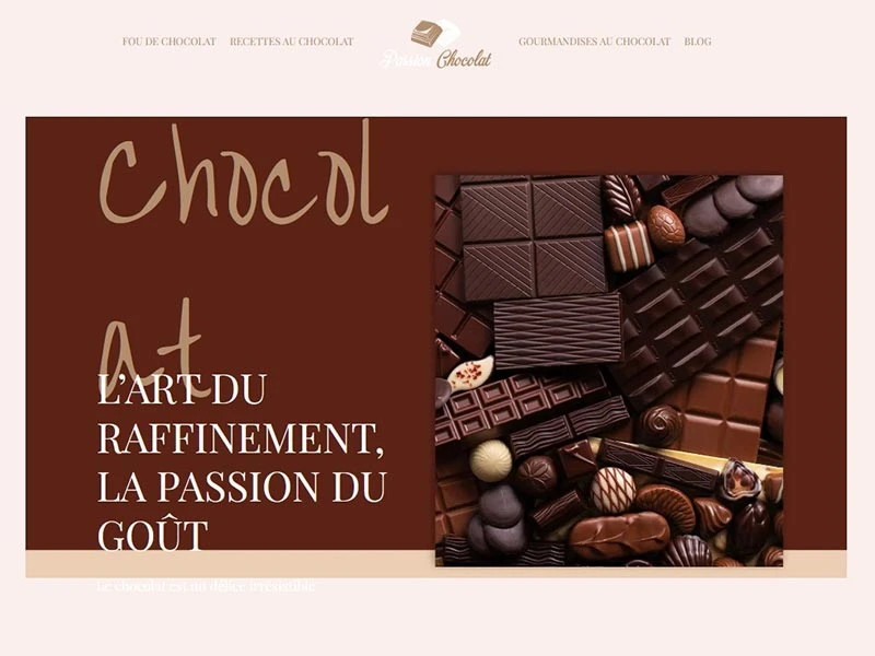 Recettes et idées gourmandes autour du chocolat